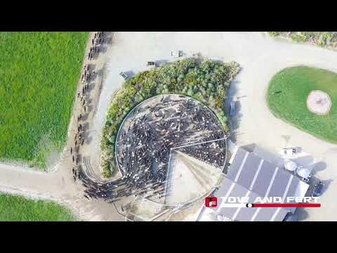 Align Farms - Episode 3