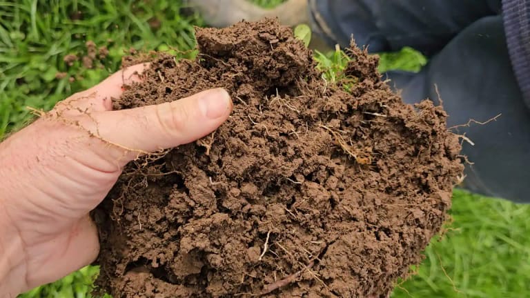 A patch of soil being held